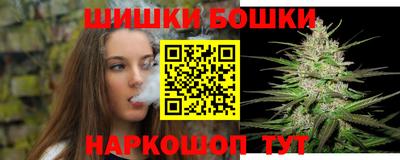 шишки Славгород