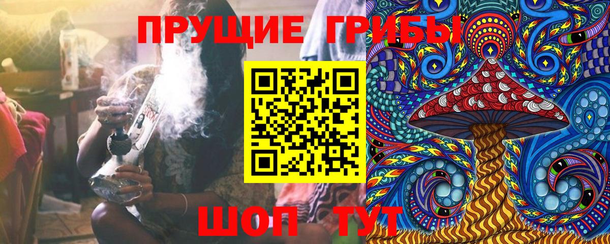Псилоцибиновые грибы Psilocybe  Вход с VPN  Скопин  Галлюциногенные грибы MAGIC MUSHROOMS 